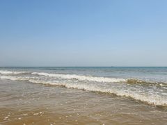 -日照海滨国家森林公园
