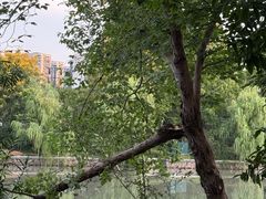 -杭州城北体育公园