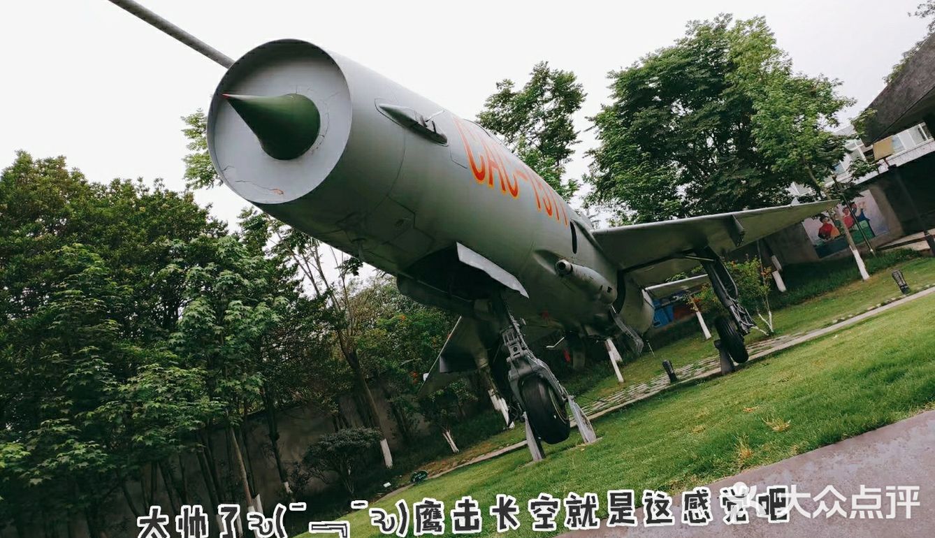 给我最爱的威龙打call