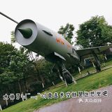 给我最爱的威龙打call