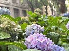 -广东胜利宾馆西关粤中餐厅