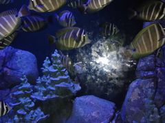 -成都浩海立方海洋公园