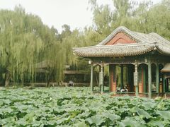 -颐和园