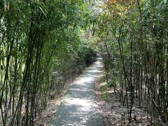 -缙云山景区