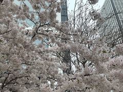 -维多利亚火车站