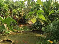 -南通洲际绿博园