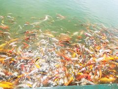 -北戴河圣蓝海洋公园