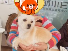 -萌小它宠物健康管理中心(怡海家园店)