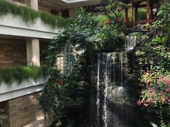 -白天鹅宾馆·流浮阁咖啡厅