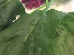 -新辣道鱼火锅(领展购物广场·中关村店)