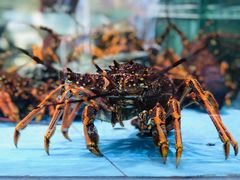 龙虾-旺顺阁海鲜广场(亚运村店)