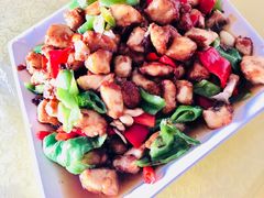 -煲来饱去冷水鱼