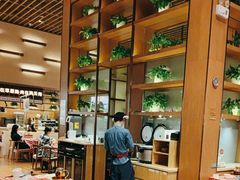 -西贝(华发商都店)