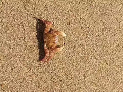 -南戴河旅游度假区