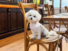 -沏点Trattoria意大利餐厅(新街口店)