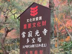 -常寂光寺