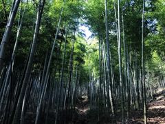 -山沟沟景区