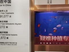 -牙博士口腔品牌连锁(杨浦店)