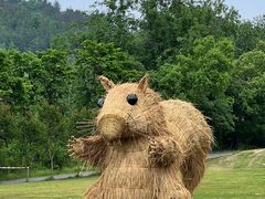 -黄陂区野村谷景区