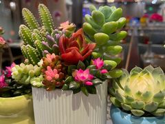 -海底捞火锅(万科广场店)