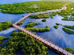 -北海金海湾红树林生态旅游区