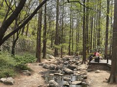 -国家植物园南园