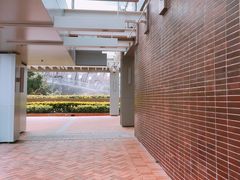 -香港大学