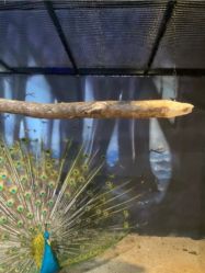 -酷嗒动物文化乐园(cutezoo西溪乐天城店)