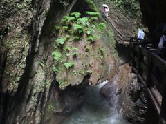 -龙水峡地缝景区