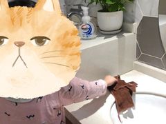 -自然树儿童之家(海珠翠城花园托育.早教校区)