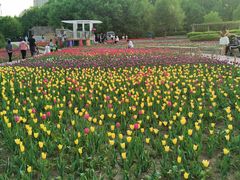 -长春公园(普阳街道)