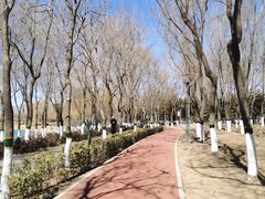 -大兴滨河森林公园