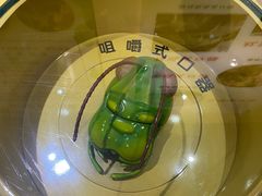 -上海昆虫博物馆