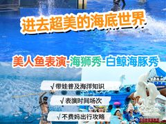 -石家庄极地海洋世界