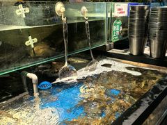 -亚马逊蒸汽活海鲜自助(LCM置汇旭辉广场店)