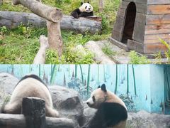 -乐和乐都主题乐园