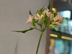 -幸薈飯堂