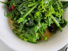 凉拌丝瓜尖-帕米尔食府(白云观店)