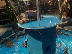 -魏铭鱼头捞饭(晋阳路店)