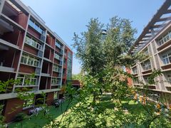 -成都市青羊实验中学(优品道校区)