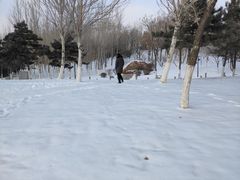 -莫子山公园