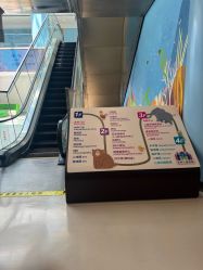 -上海浦滨儿童医院