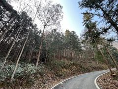 -素山寺森林公园