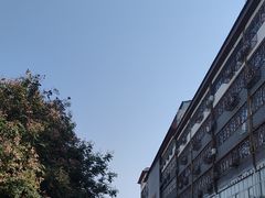-一记洛阳菜·糖醋小排·水席(十字街店)