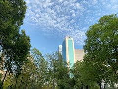 -西北湖绿化广场