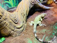 -华夏文旅海洋公园