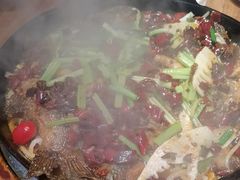 -老板恋上鱼(恒隆广场店)