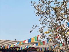 -西安市广仁寺