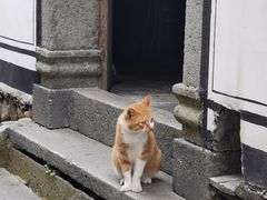 -东梓关景区村庄