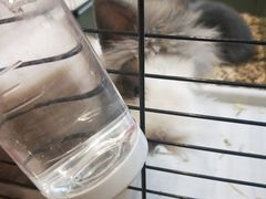 -乌龙爬宠部落(信和购物广场店)